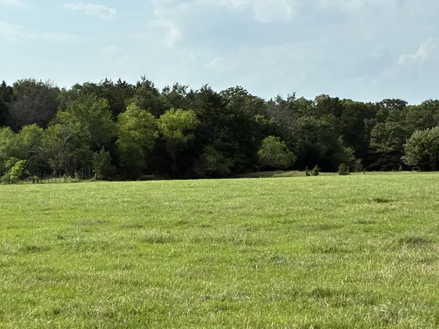 TBD County Road 1128, Streetman, TX 75859 - #2