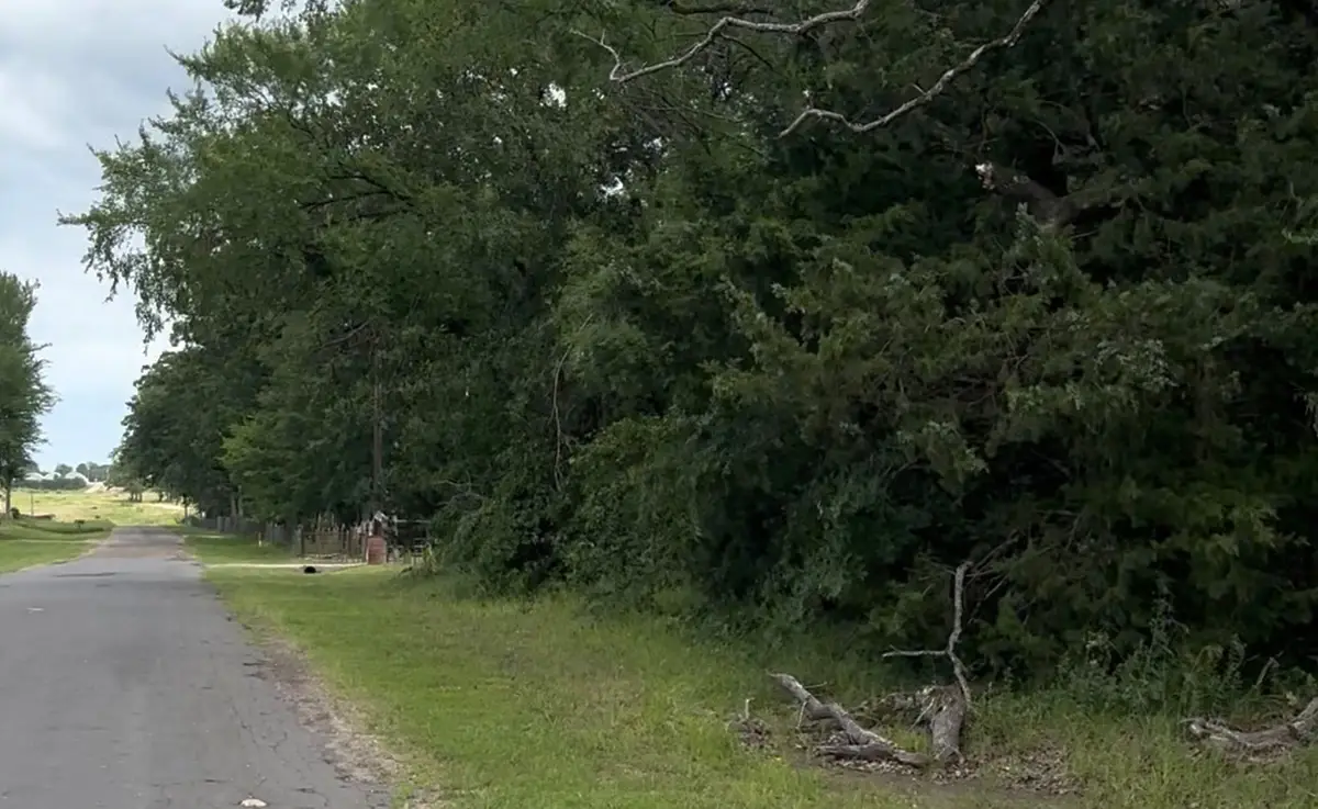 County Road 1805, Grand Saline, TX 75140 - #1