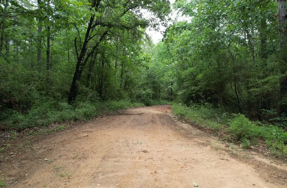 TBD County Road 4679, Tenaha, TX 75974 - #1