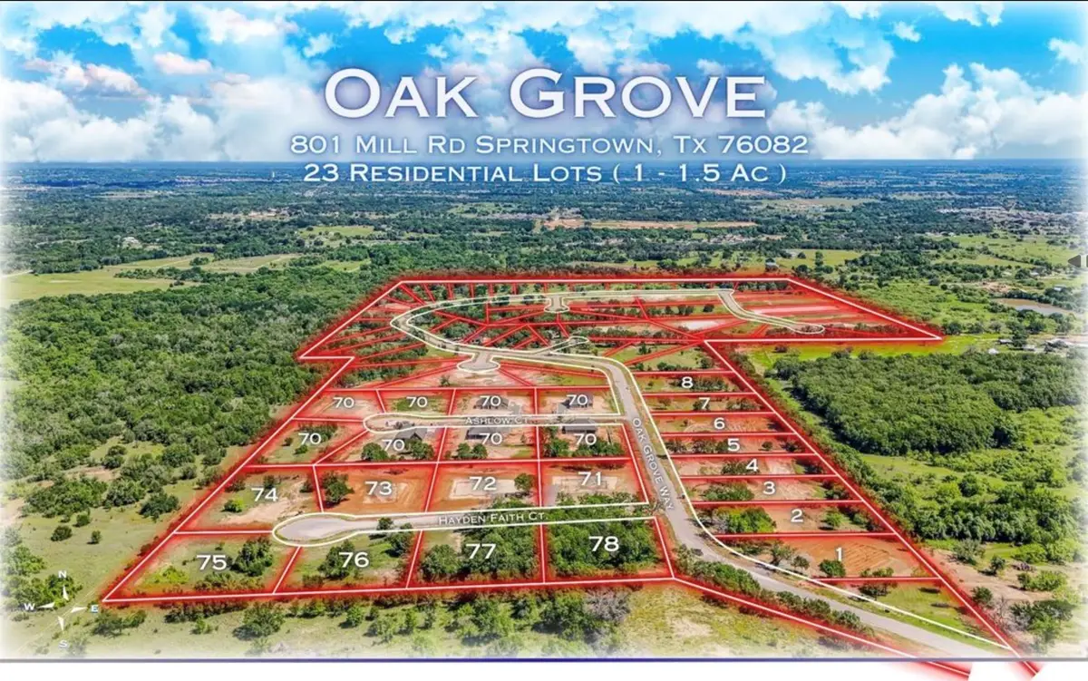 612 Tay Tay Way, Springtown, TX 76082 - #1