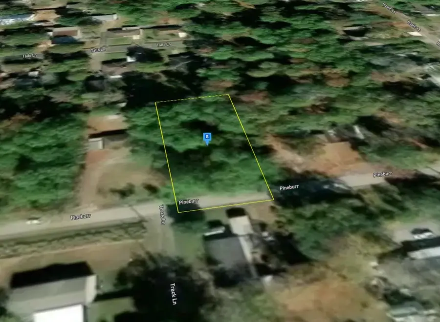 476 Pine Burr Loop, Lumberton, TX 77657 - #3