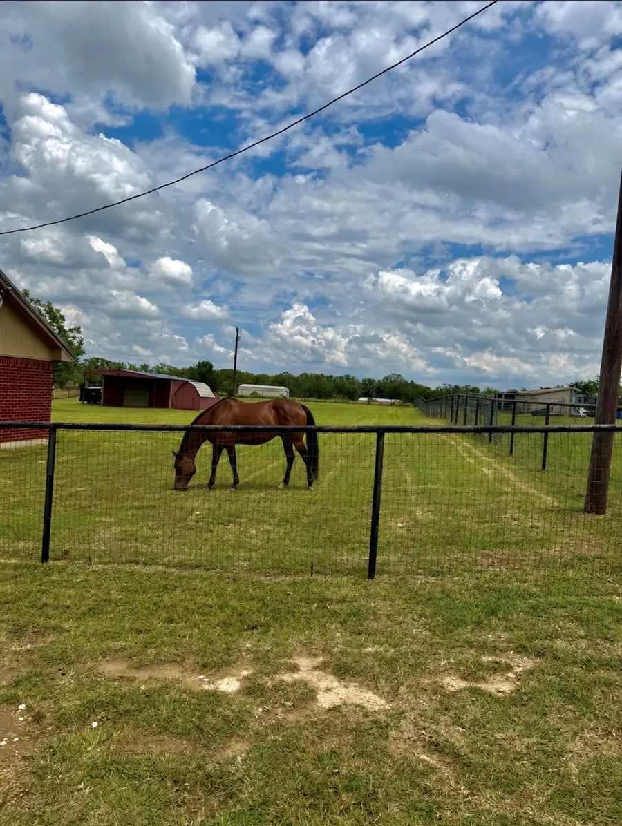 826 Gilliland Road, Springtown, TX 76082 - #3