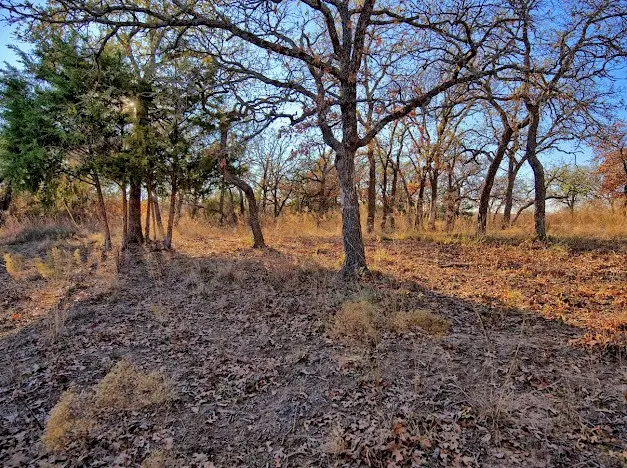 103 Diamond Oaks Drive, Nocona, TX 76255 - #2
