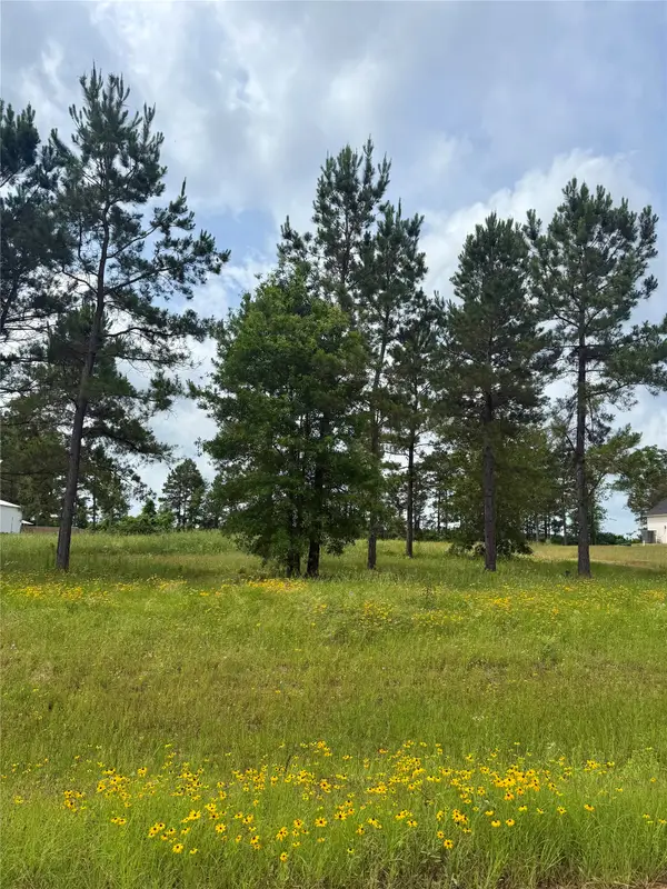 117 Faith Plantation Drive #9, Princeton, LA 71067