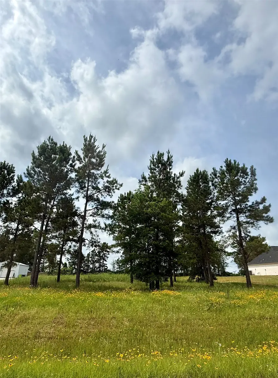 117 Faith Plantation Drive #9, Princeton, LA 71067 - #2