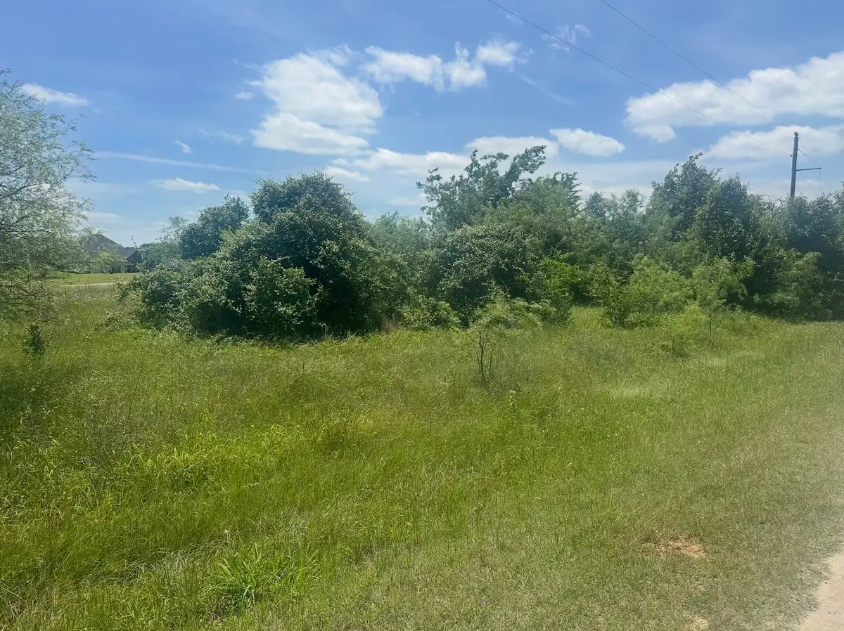 23142 Greenbriar Drive, Whitney, TX 76692 - #1