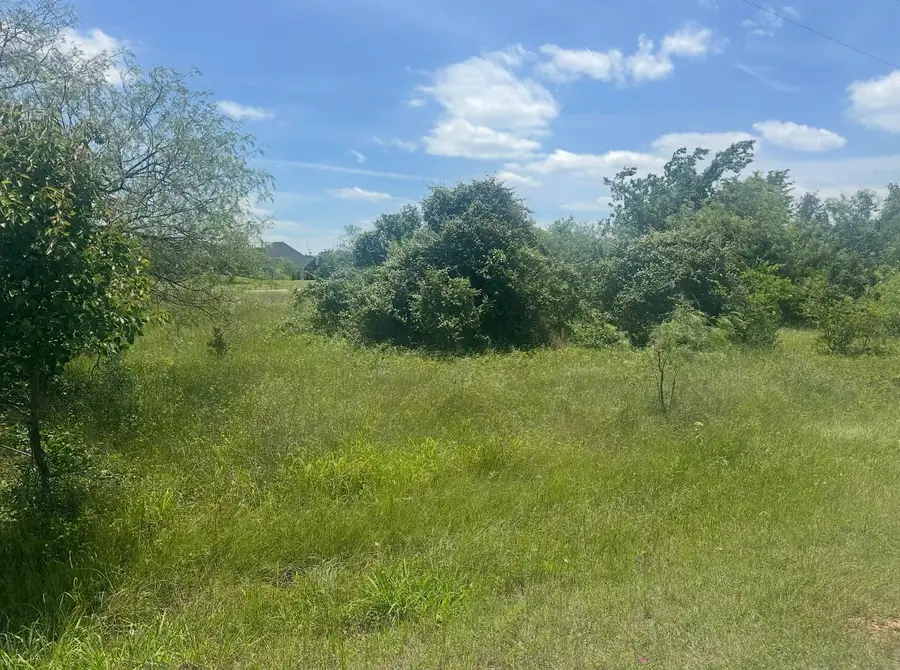 23142 Greenbriar Drive, Whitney, TX 76692 - #2