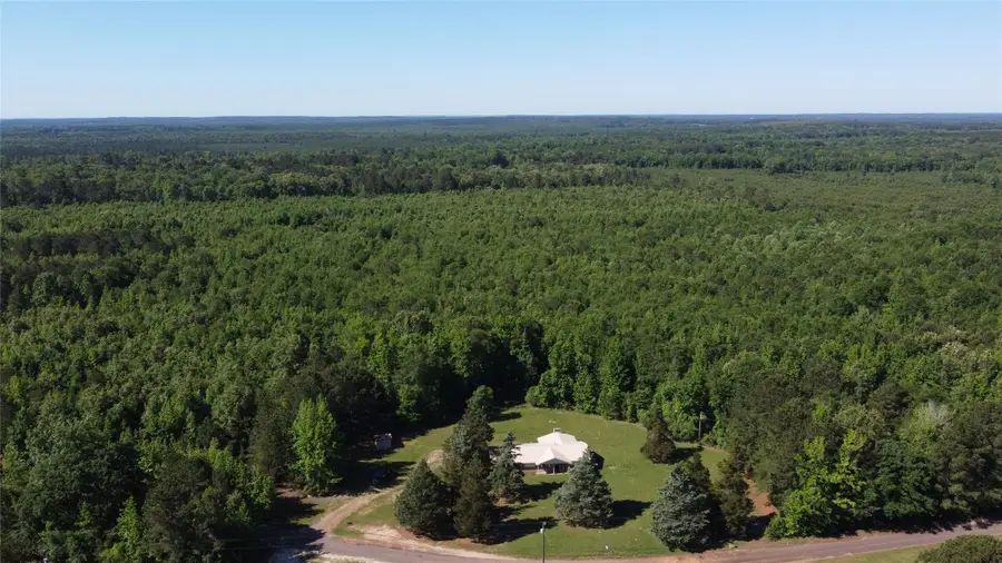 2388 County Road 4455, Bivins, TX 75555 - #3