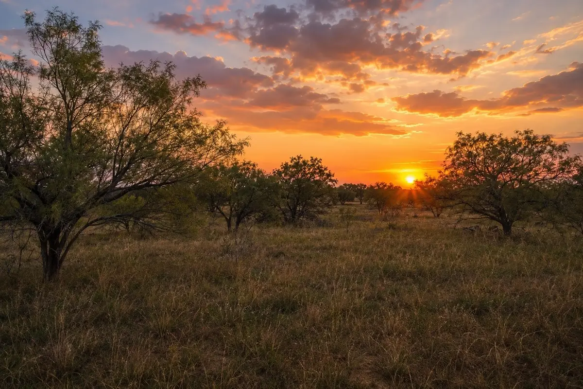 TBD 13.345 ACRES Cr 107, Abilene, TX 79601 - #1