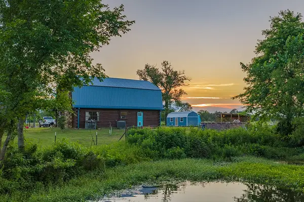 4798 County Road 4235, De Kalb, TX 75559