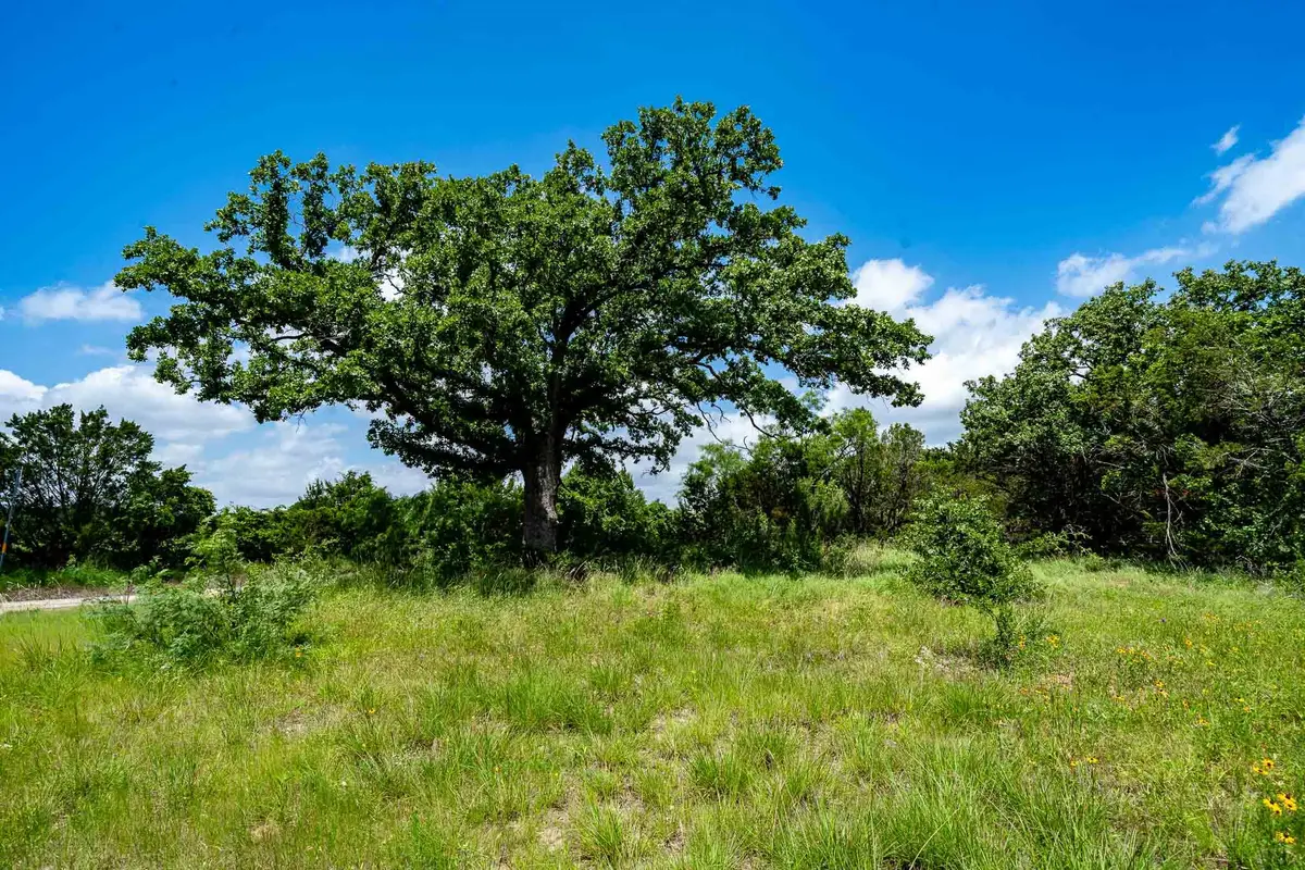 TBD Fm 203, Glen Rose, TX 76043 - #1
