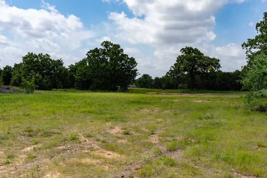 TBD Fm 203, Glen Rose, TX 76043 - #2