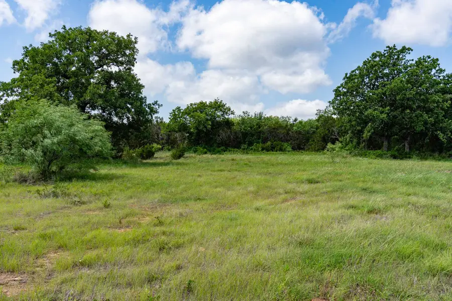 TBD Fm 203, Glen Rose, TX 76043 - #3
