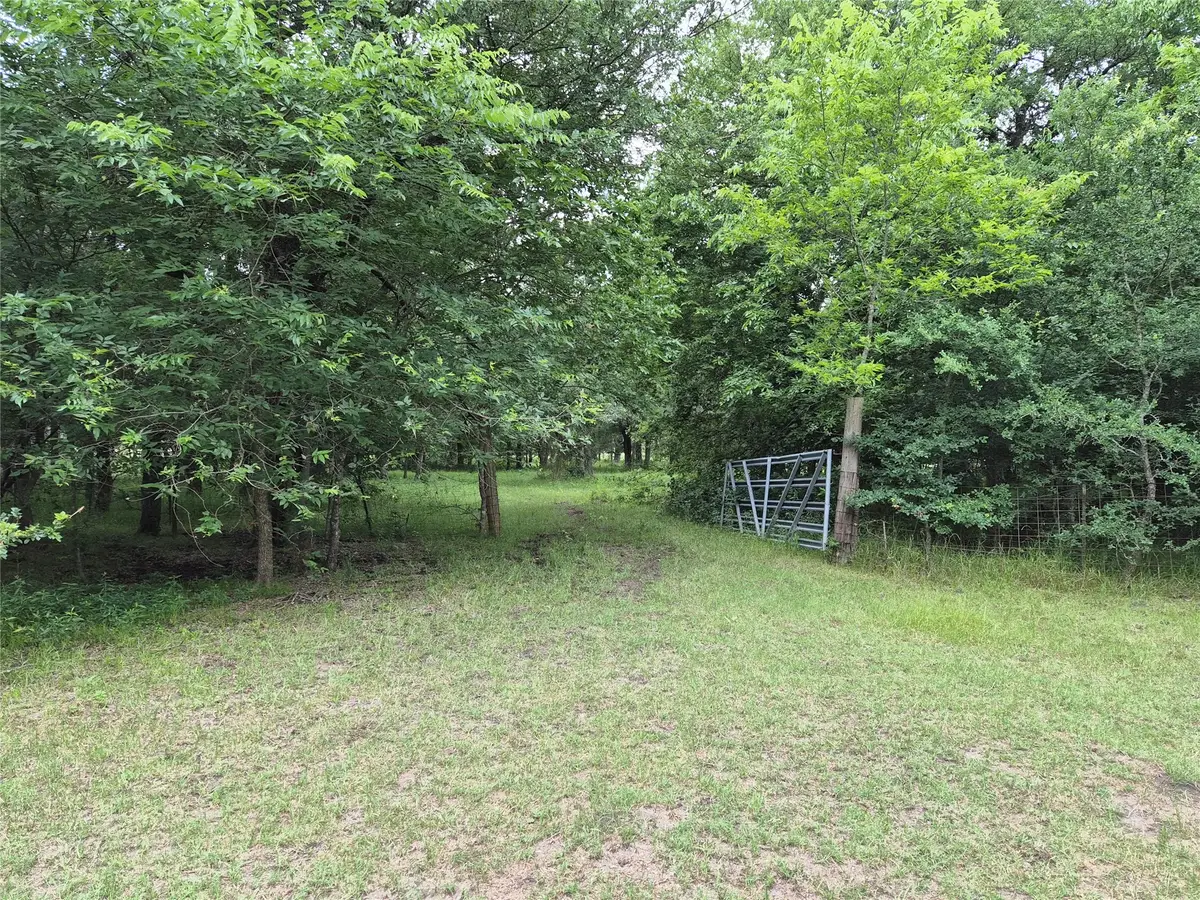 TBD Count Road 1020, Wolfe City, TX 75496 - #1
