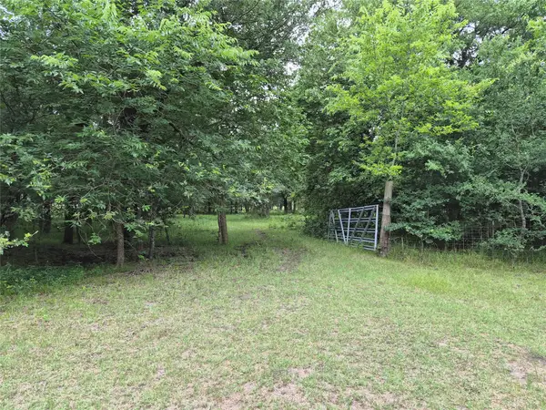 TBD Count Road 1020, Wolfe City, TX 75496