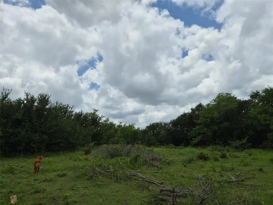 TBD Count Road 1020, Wolfe City, TX 75496 - #2