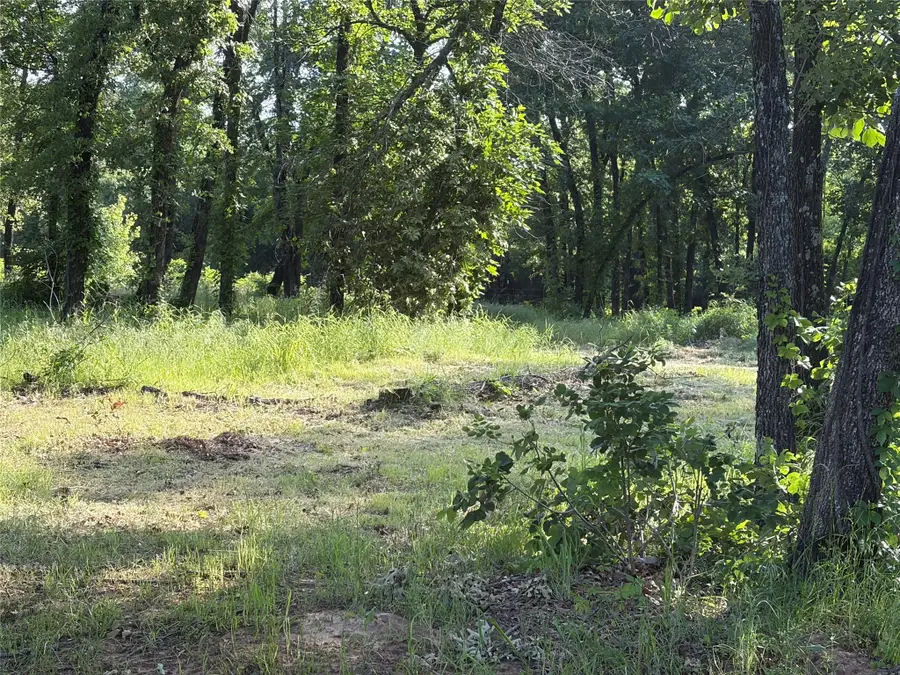 TBD Oak Creek Drive, Gordonville, TX 76245 - #3