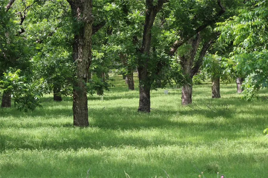 206 Poco Bueno Court, Granbury, TX 76049 - #2