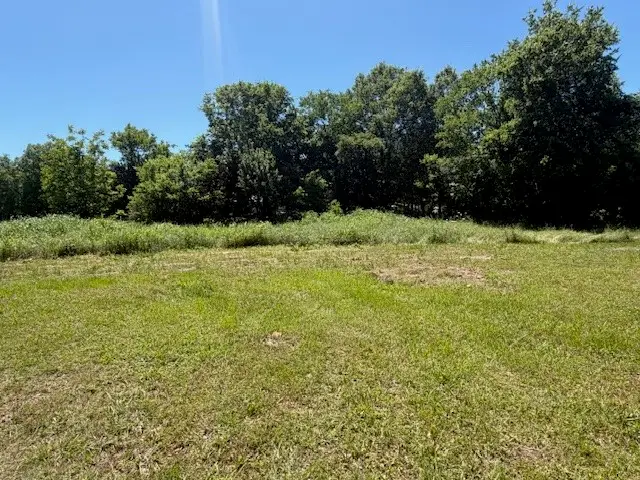101 1/2 Harvey Street, Annona, TX 75550 - #2