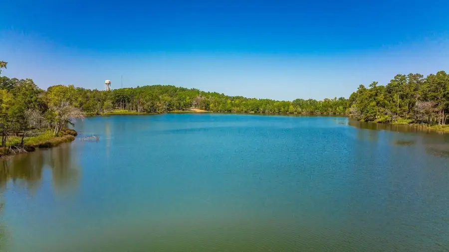 Lot 56 Marble Way, Hallsville, TX 75650 - #2