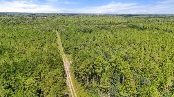 00001 Hwy 105, Sour Lake, TX 77659