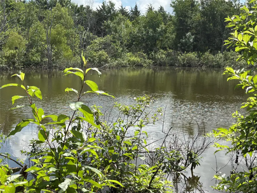 TBD County Road 1280, Clarksville, TX 75426 - #2