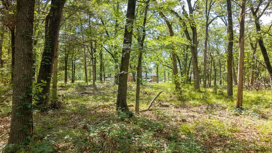 000 Pr 206, Bonham, TX 75418 - #2