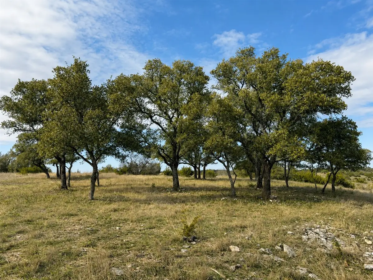 1146 Hidden Cove Trail, Glen Rose, TX 76043 - #1