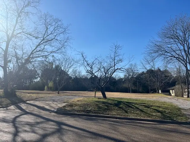 511 Big Rock Street, Canton, TX 75103 - #2