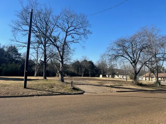 511 Big Rock Street, Canton, TX 75103 - #3