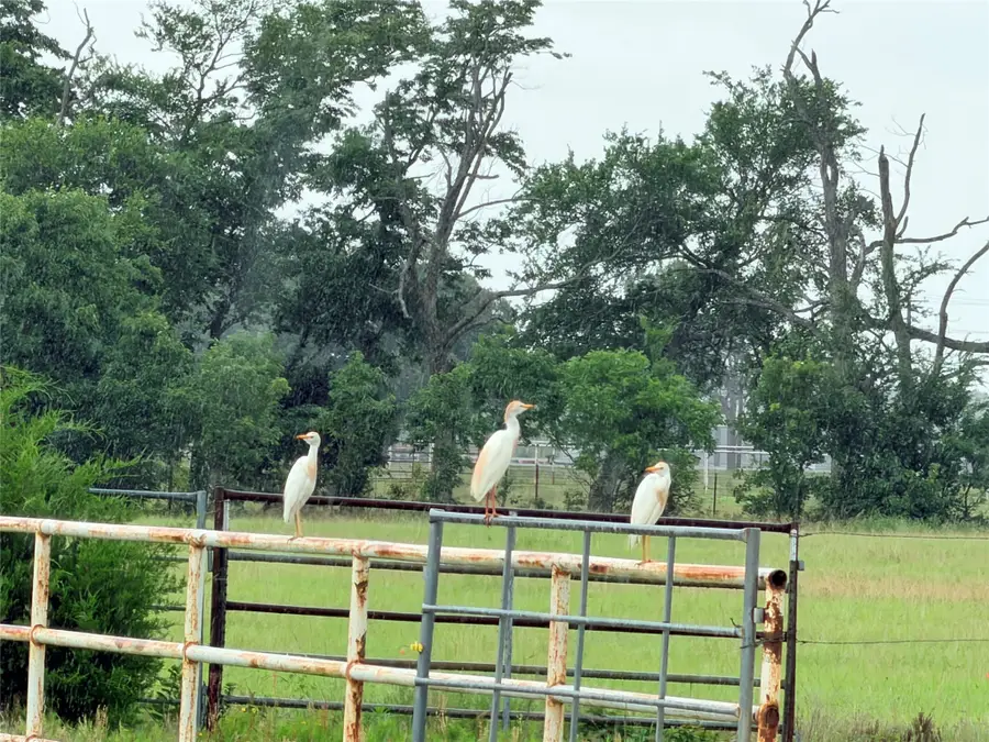 6832 Fm 2931, Aubrey, TX 76227 - #3