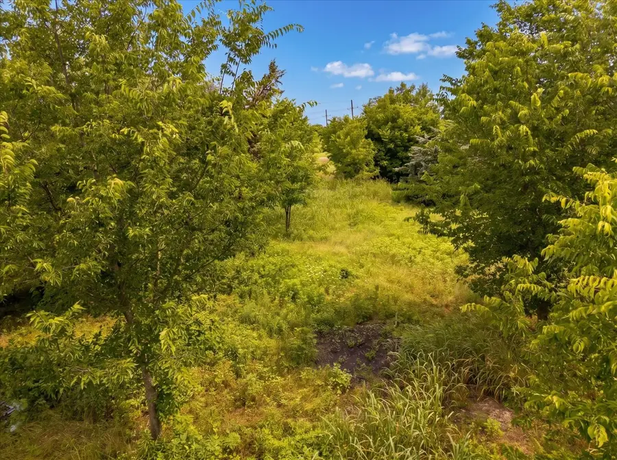 TBD County Road 1119, Greenville, TX 75401 - #3