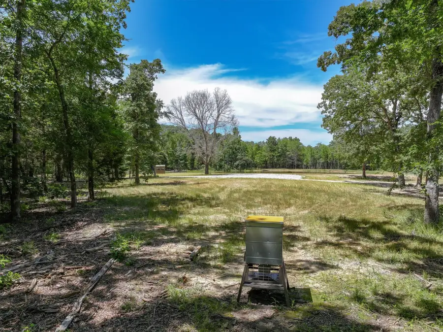TBD Pvt. Rd 8079 Road, Ben Wheeler, TX 75754 - #3