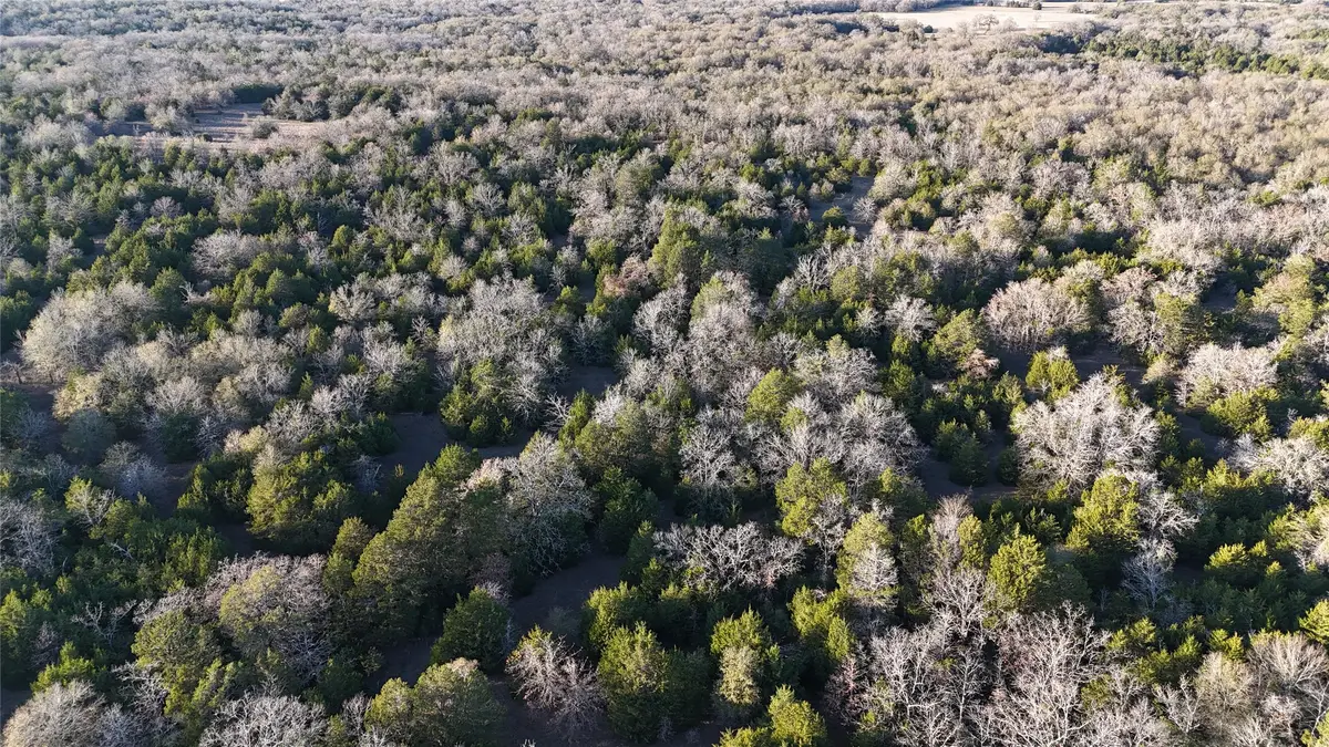TBD County Road 890, Mexia, TX 76667 - #1