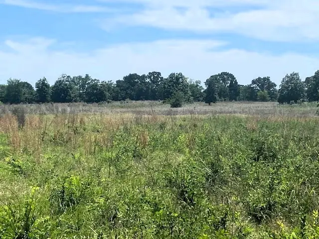 TBD Cr 1119, Athens, TX 75751 - #2