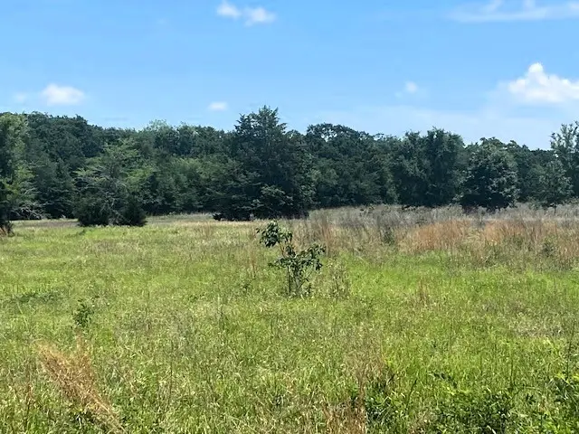 TBD Cr 1119, Athens, TX 75751 - #3