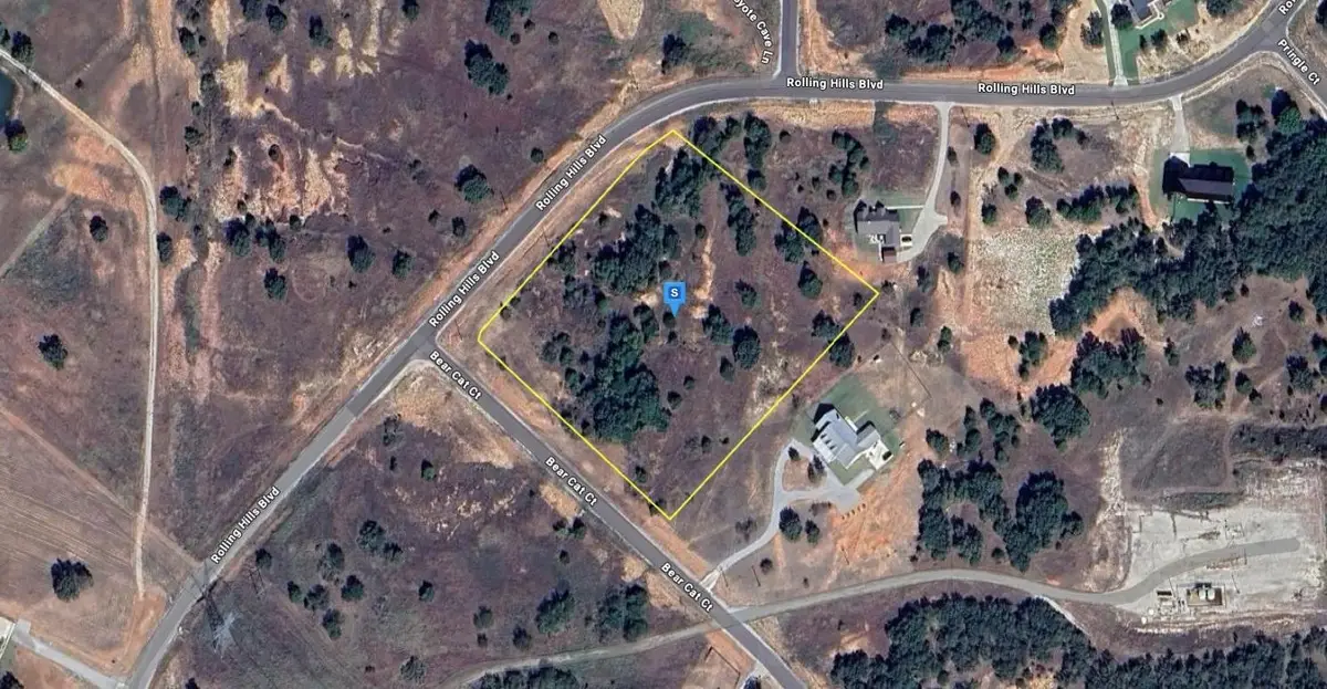 184 Bear Cat Court, Alvord, TX 76225 - #1