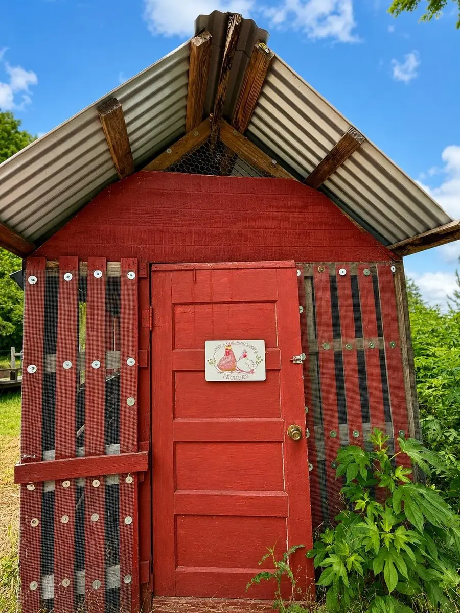 3169 Fm 556, Pittsburg, TX 75686 - #2