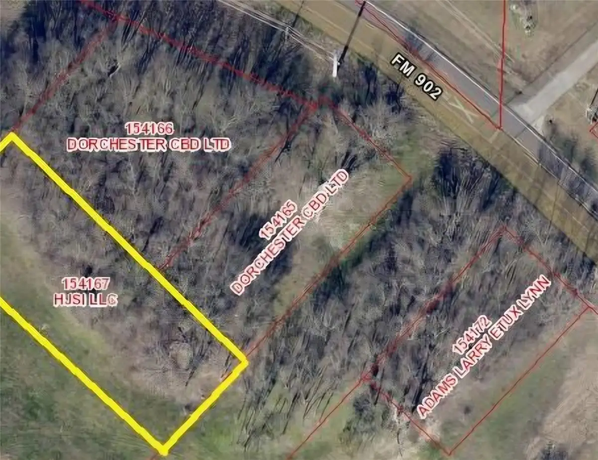TBD Young, Dorchester, TX 75459 - #1