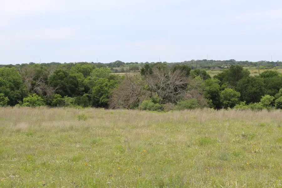 Lot 68 Mason Court, Dublin, TX 76446 - #3