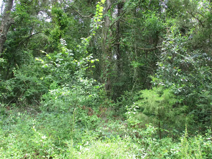 TBD Robinson Street, Emory, TX 75440 - #3