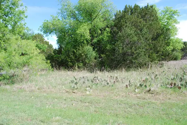 45011 Fringewood Drive, Whitney, TX 76692