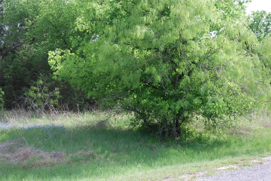 45011 Fringewood Drive, Whitney, TX 76692 - #3