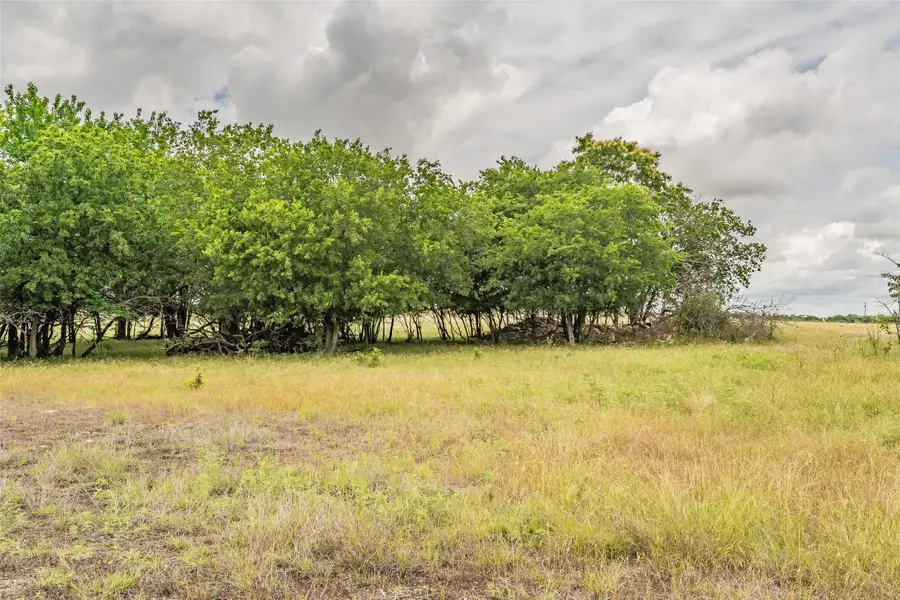 1174 Pioneer Road, New Fairview, TX 76078 - #3