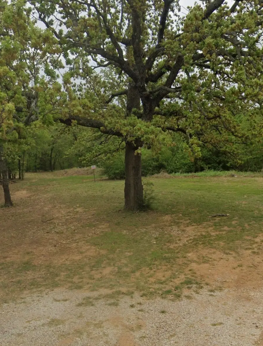 551 Horseshoe Trail, Oak Point, TX 75068 - #2