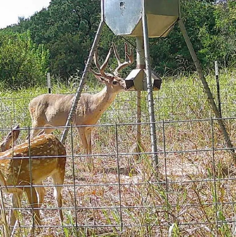 000 Us Hwy 82, Sherman, TX 75092 - #2