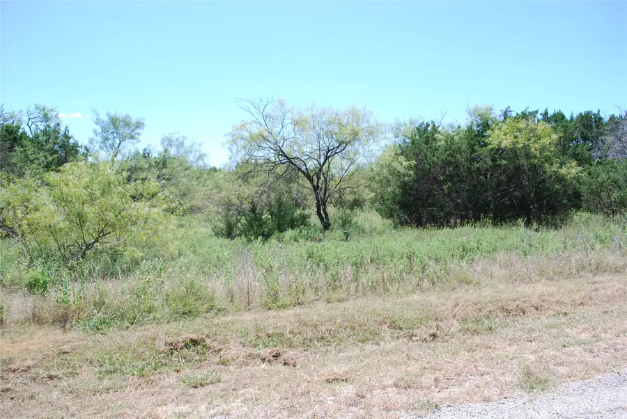 43131 Mountain Sage Drive, Whitney, TX 76692 - #3