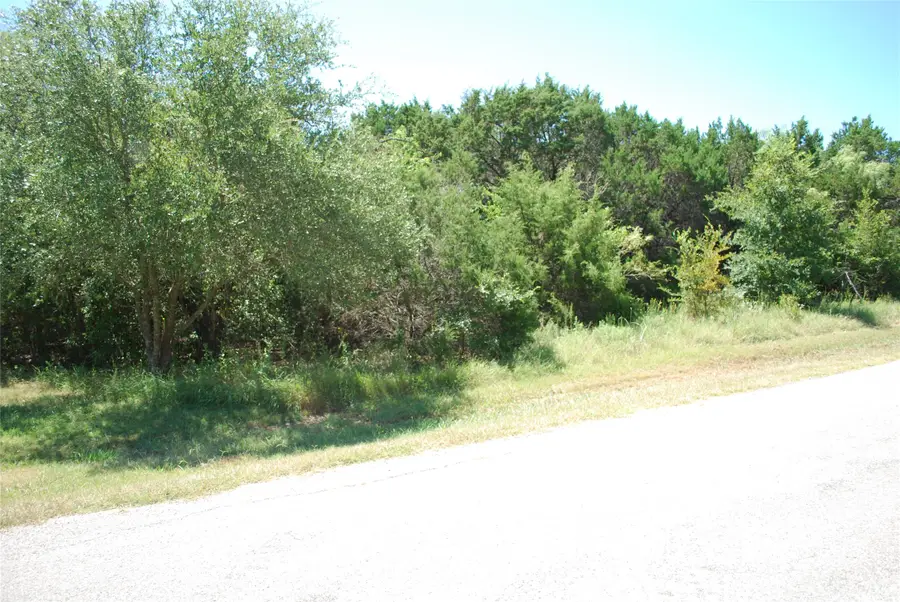 44155 Whisperwood Drive, Whitney, TX 76692 - #3
