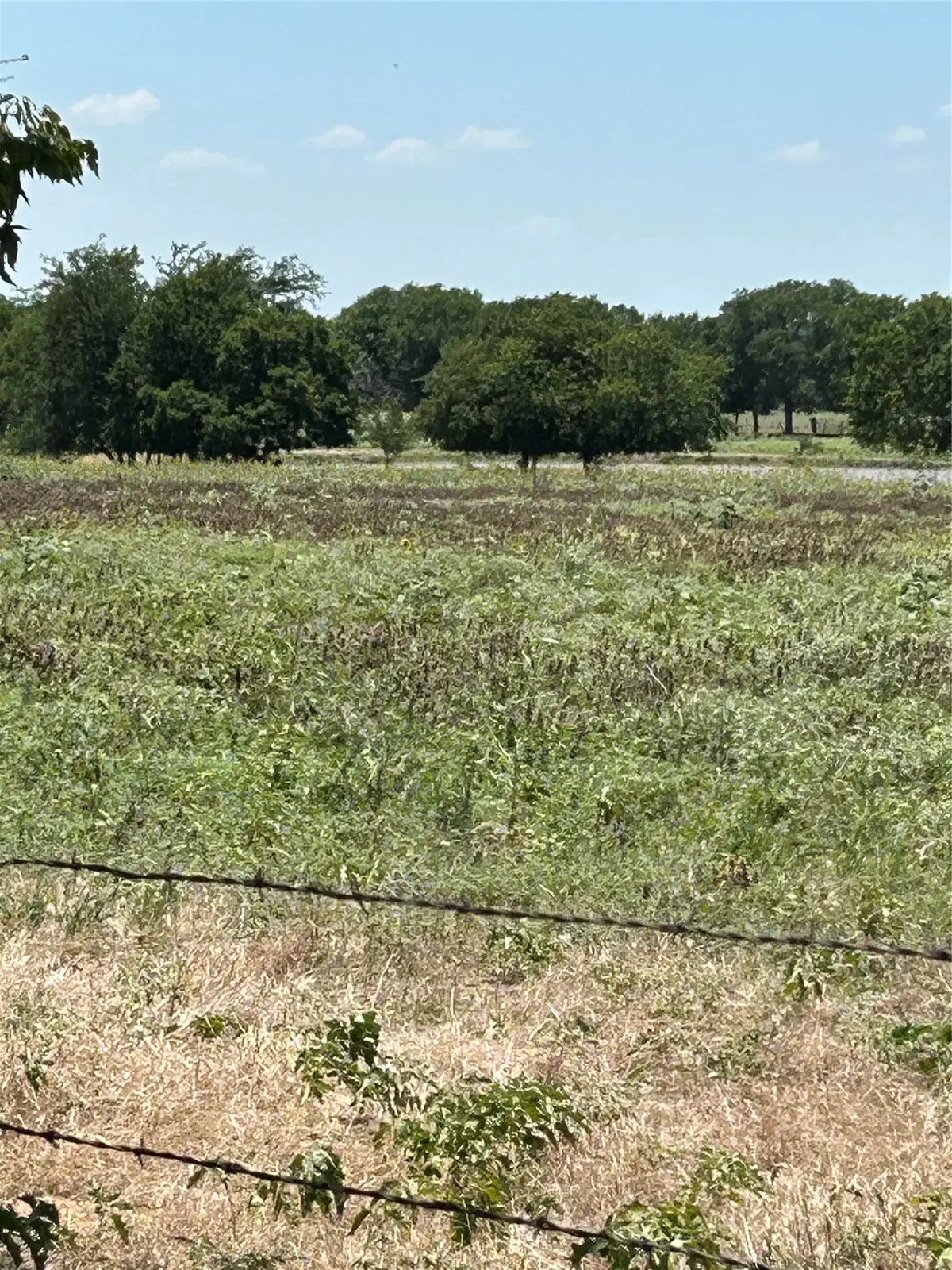 1170 Airport Road, Tioga, TX 76271 - #1