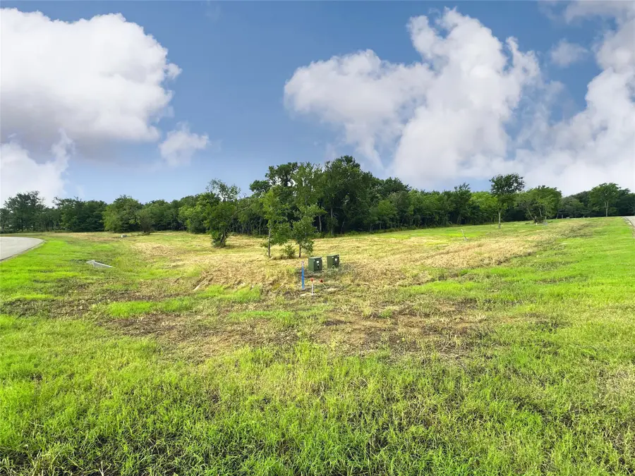 Lot 6 & TBD BTSLP#23 Emerald Lane, Corsicana, TX 75109 - #2
